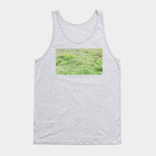 Spring grass, meadow, green nature photo Tank Top